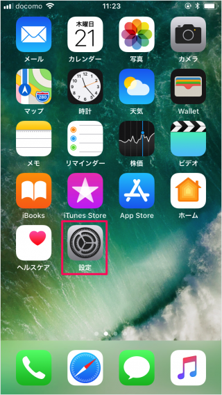 iPhone iPad                  - 64