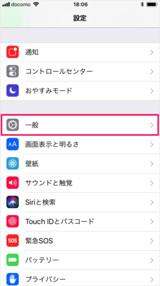 iPhone iPad                  - 64