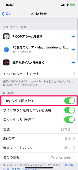 iPhone iPad   Hey Siri           Siri      - 47