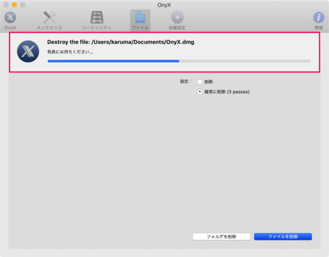 mac app onyx erase selected file folder 11