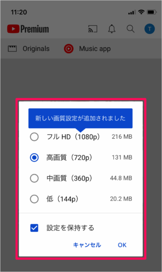 Youtube 動画のダウンロード保存とオフライン再生 Pc設定のカルマ