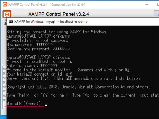 xampp mysql root password 06