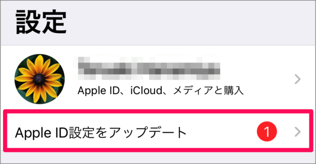 iphone ipad apple id update b03