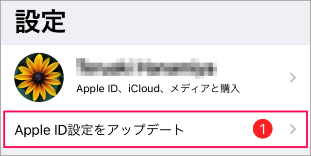 iphone ipad apple id update b11
