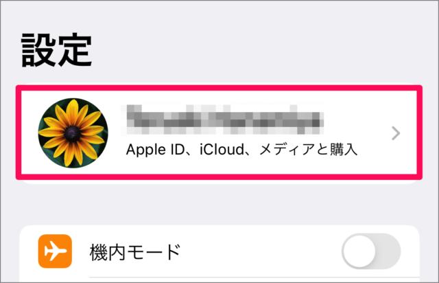 iPhone   iCloud Drive             - 41