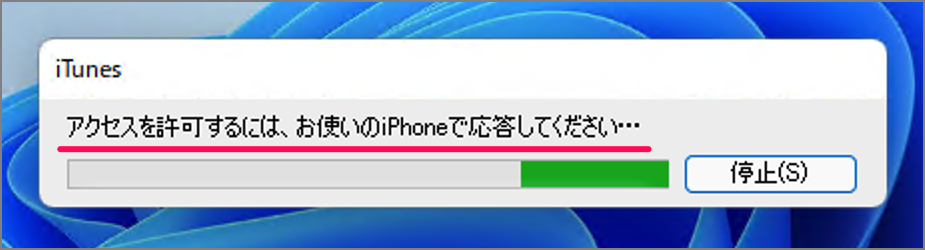 connect to the iphone with a windows usb 04