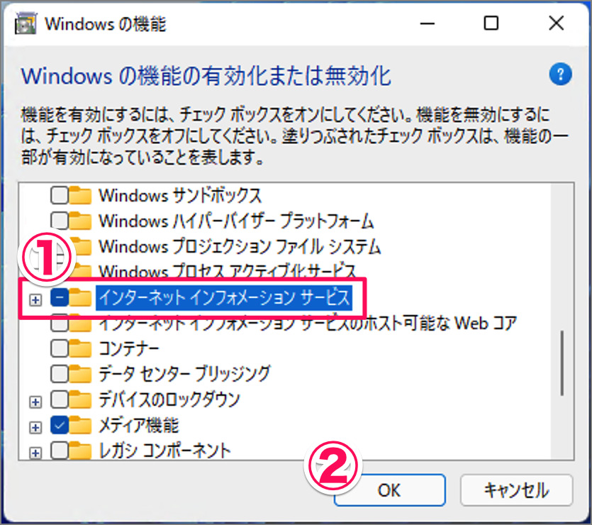how to install iis on windows 11 05