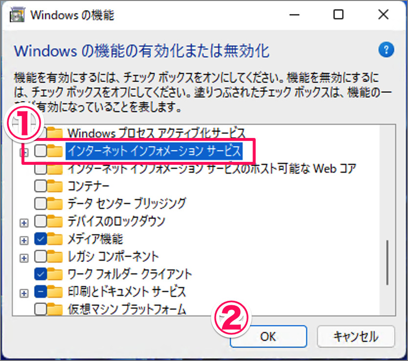 how to install iis on windows 11 10