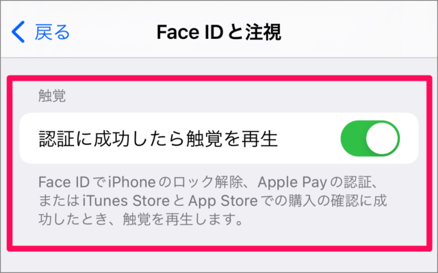 iphone accessibility face id 04