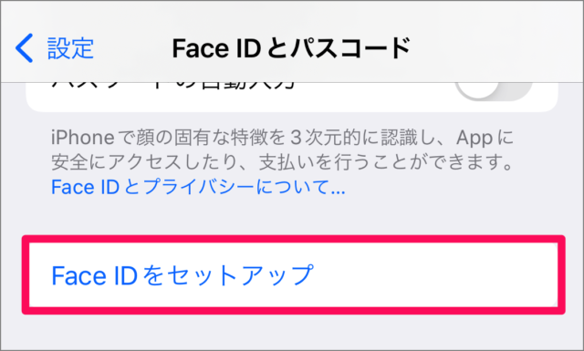 set up face id on iphone 04