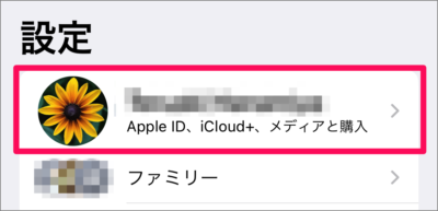 iphone ipad check apple id store credit 02