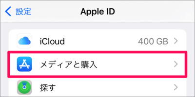 iphone ipad check apple id store credit 03