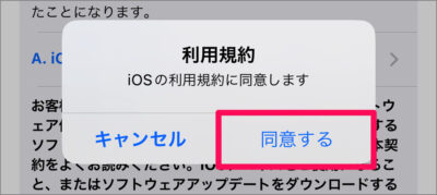 iphone ipad software update 07