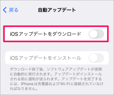 iphone update customize 05