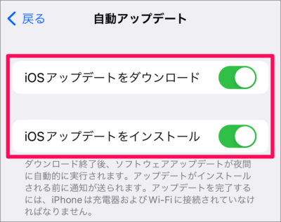 iphone update customize 06