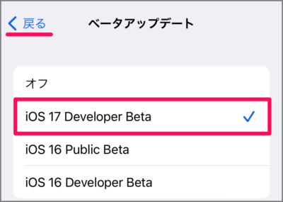 install beta update ios iphone 09