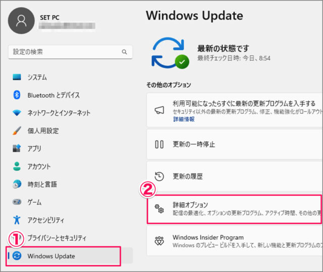 install optional updates windows 11 02
